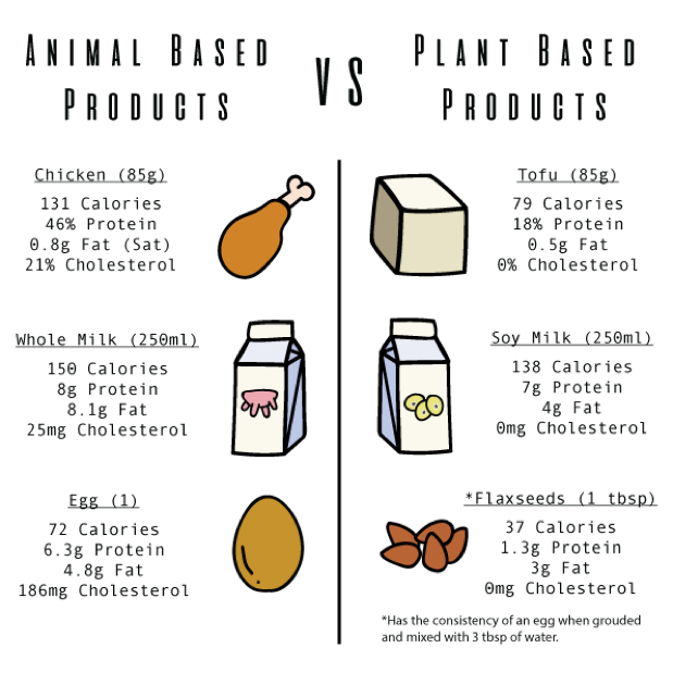 Animal Based Products vs Plant Based Products
