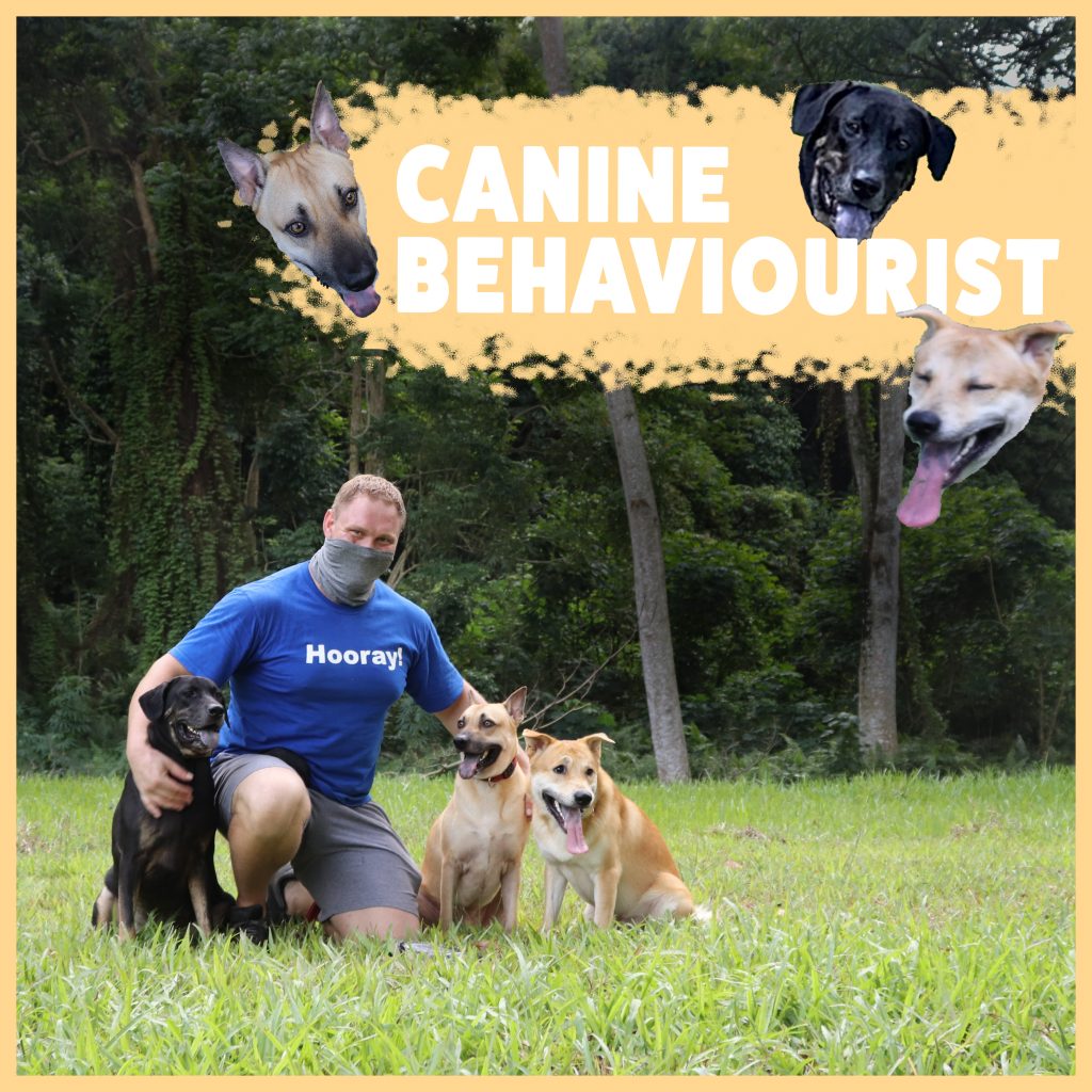 Canine behaviourist Fraser Noble