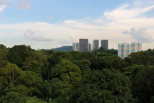 The two colourful HDB blocks in Bukit Panjang have been around before the observation tower was constructed.