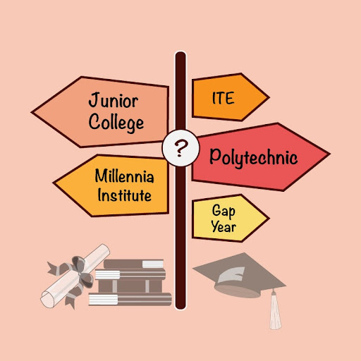 Graphic of the different tertiary education pathways