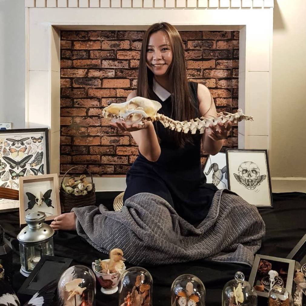 Vivian Tham, The Taxidermist