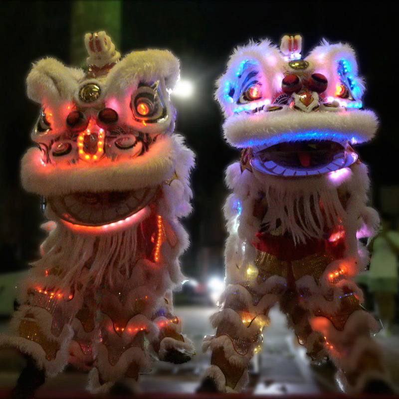 This image shows 2 Lion Dance lions.