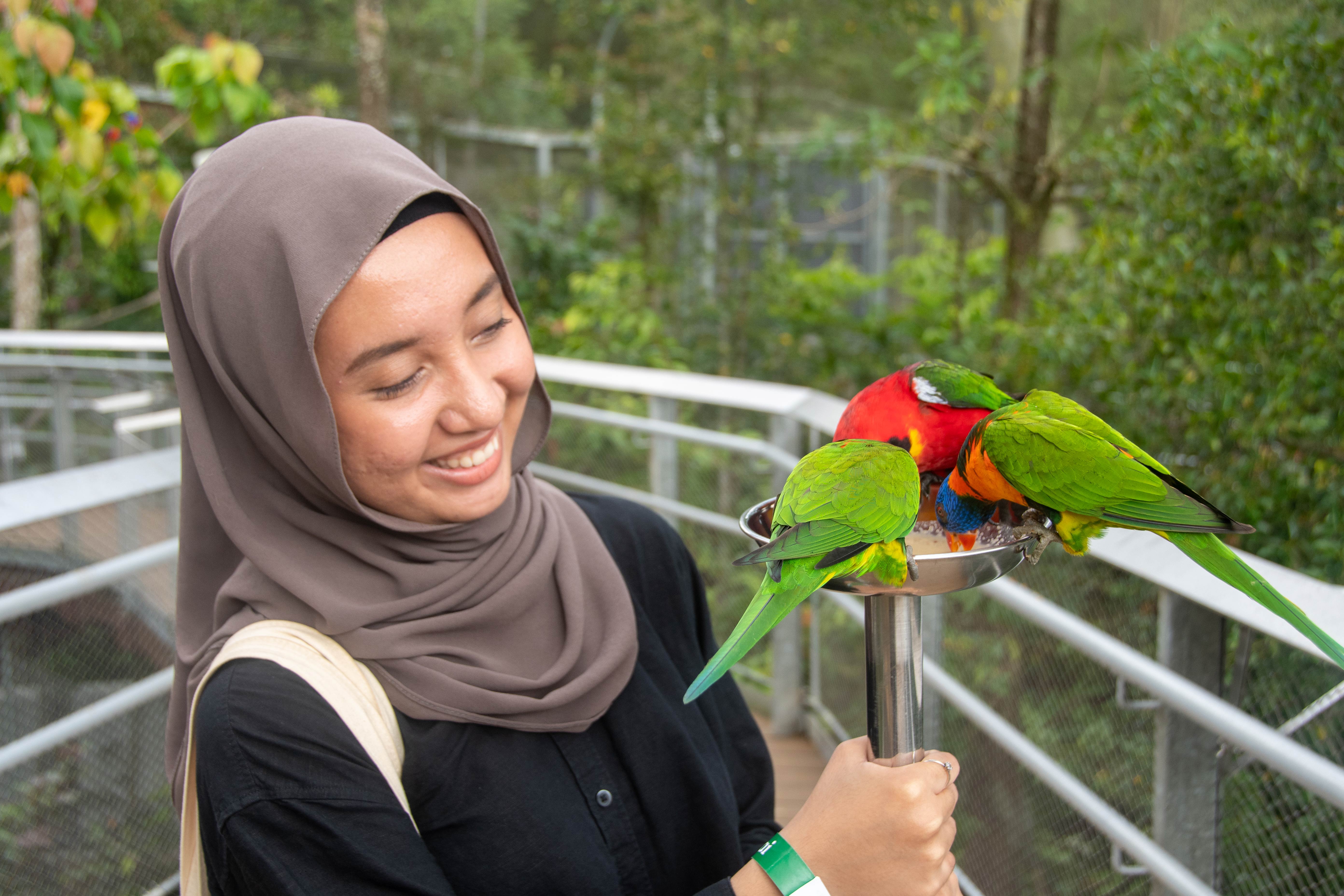 Experience an immersive experience where you can feed nectar to a flock of 
friendly lories at the Lory Loft. 