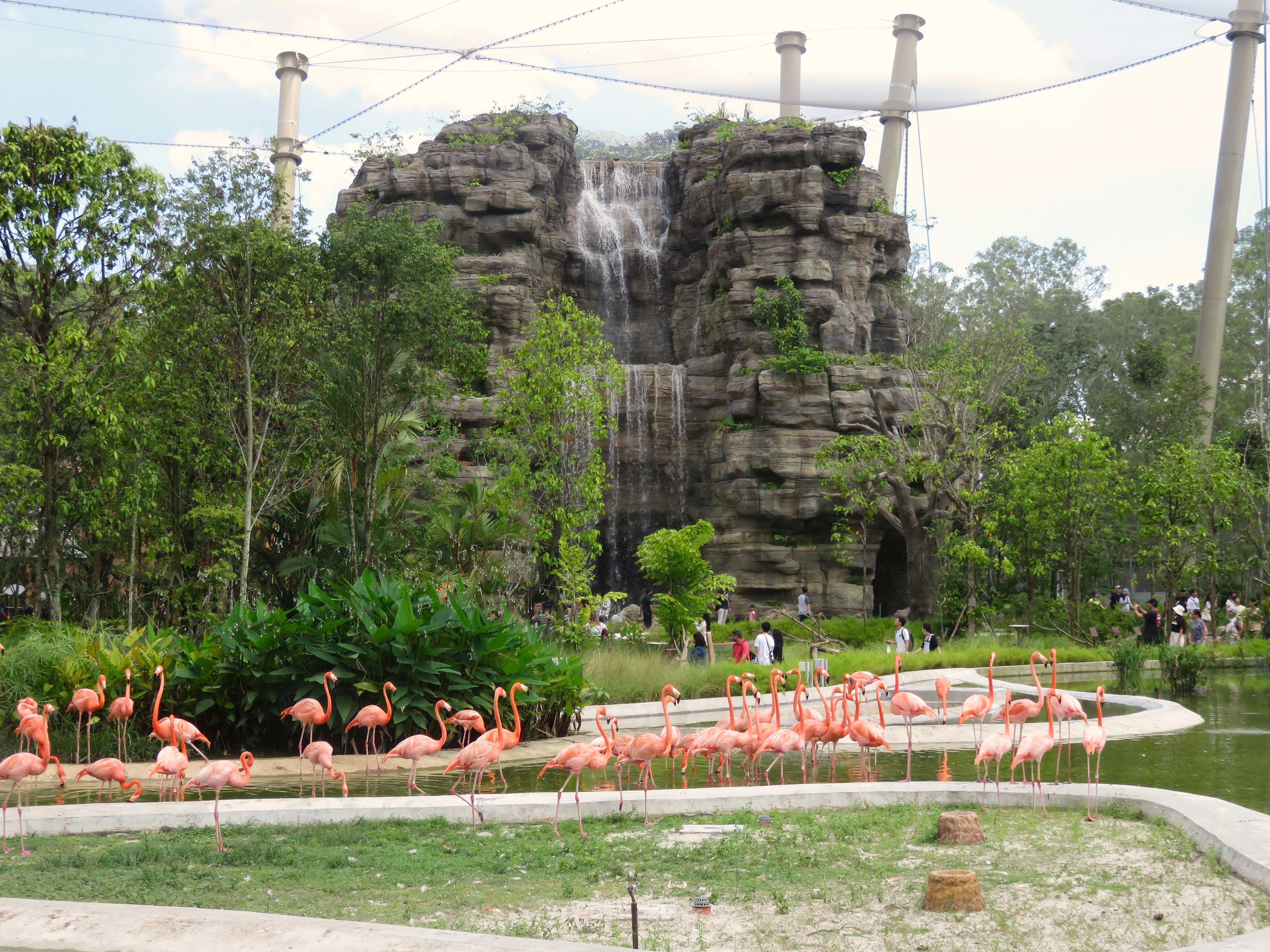 The tallest waterfall in Bird Paradise is located in Hong Leong Foundation Crimson 
Wetlands. 