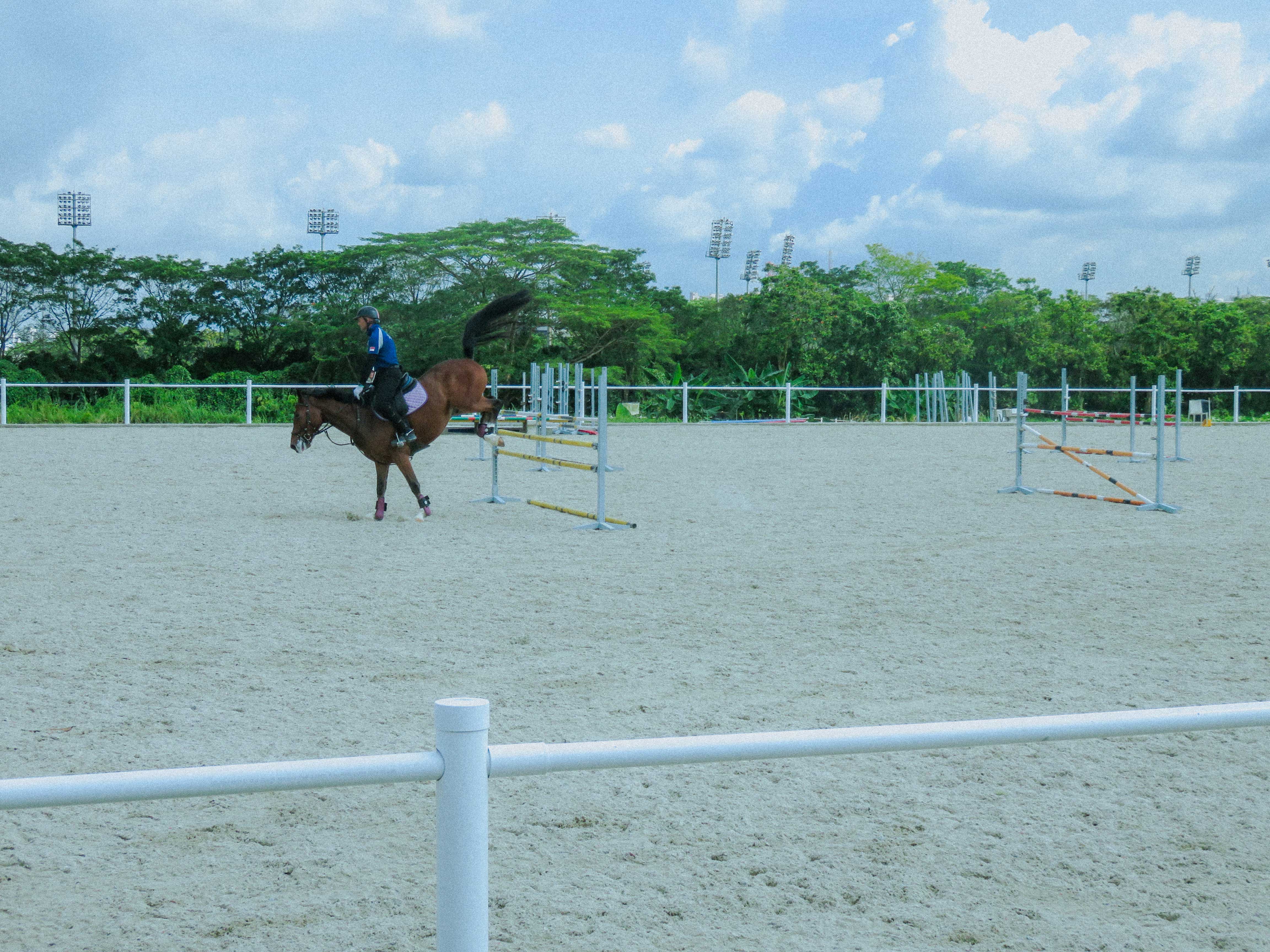 Predrag Marjanovic demonstrating show jumping as part of the guided tour at the new BTSC arena. 
